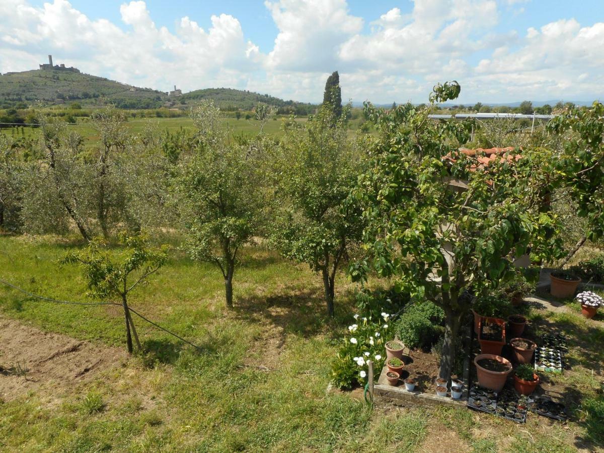 Poggio Fiorito Apartment Castiglion Fiorentino Exterior photo