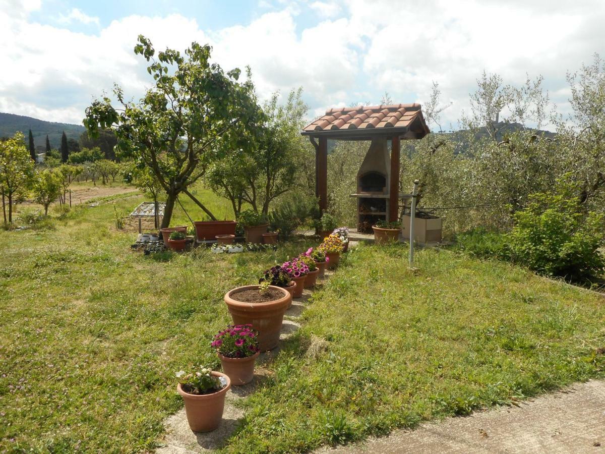 Poggio Fiorito Apartment Castiglion Fiorentino Exterior photo