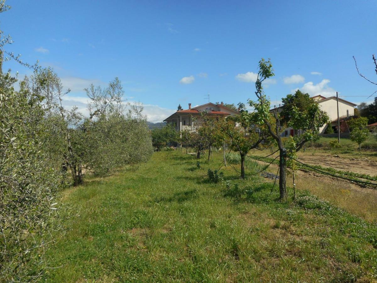 Poggio Fiorito Apartment Castiglion Fiorentino Exterior photo